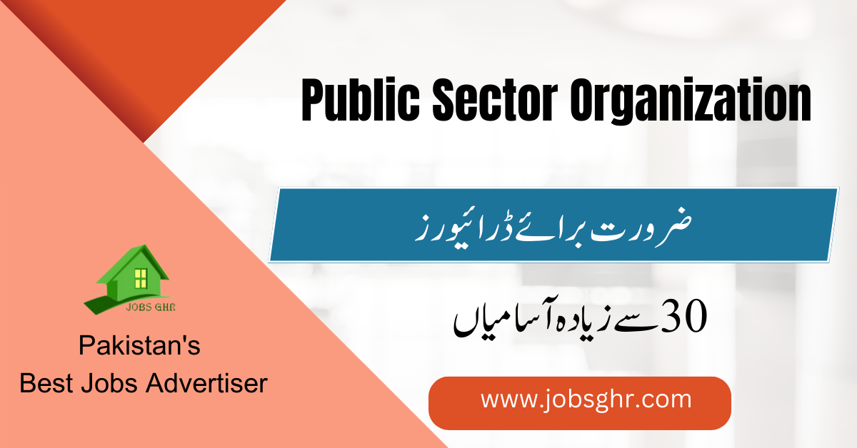 public sector organization